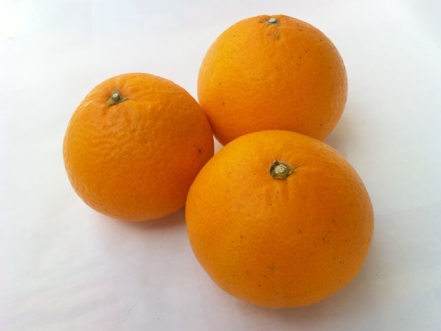 清見オレンジ