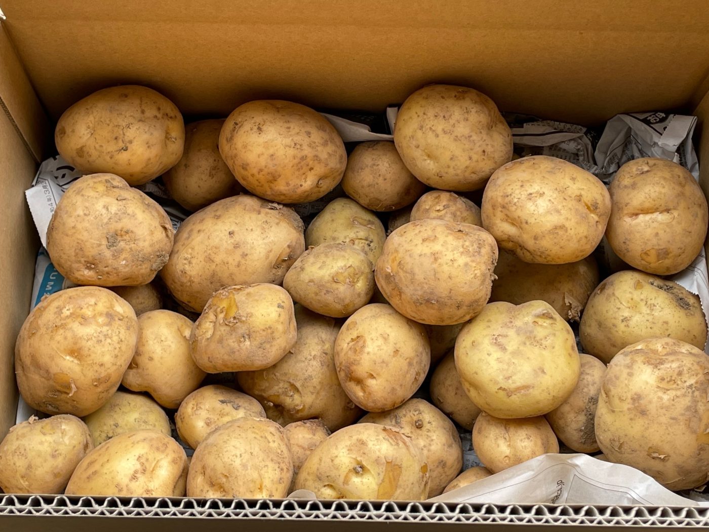 じゃがいも（3ｋｇ）【送料無料！】